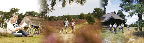 Camping Drenthe, camping Alinghoek